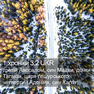 1 хроніки 3:2 UKR Bible Verse Image