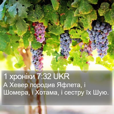 1 хроніки 7:32 UKR Bible Verse Image