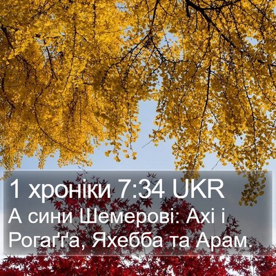 1 хроніки 7:34 UKR Bible Verse Image