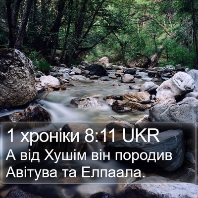 1 хроніки 8:11 UKR Bible Verse Image