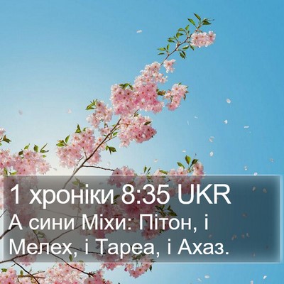 1 хроніки 8:35 UKR Bible Verse Image