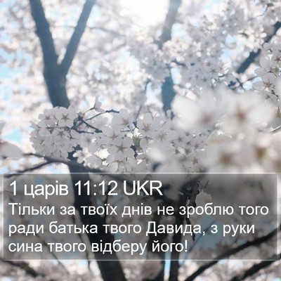 1 царів 11:12 UKR Bible Verse Image