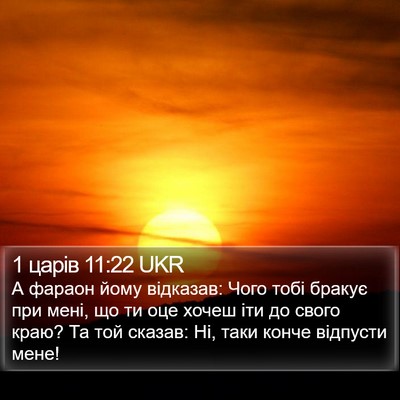 1 царів 11:22 UKR Bible Verse Image