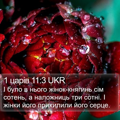 1 царів 11:3 UKR Bible Verse Image