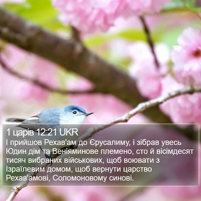 1 царів 12:21 UKR Bible Verse Image