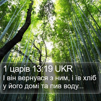 1 царів 13:19 UKR Bible Verse Image