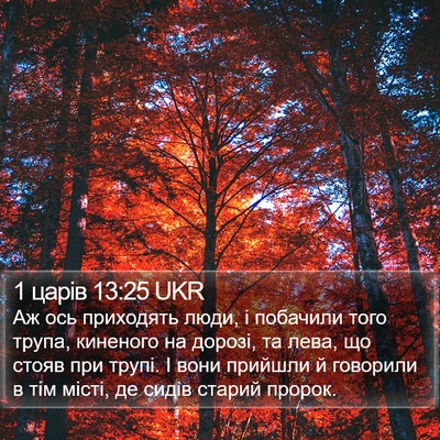 1 царів 13:25 UKR Bible Verse Image