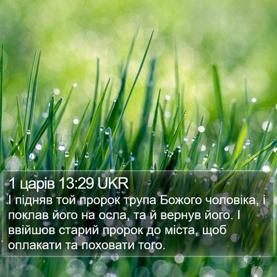 1 царів 13:29 UKR Bible Verse Image