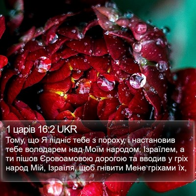 1 царів 16:2 UKR Bible Verse Image