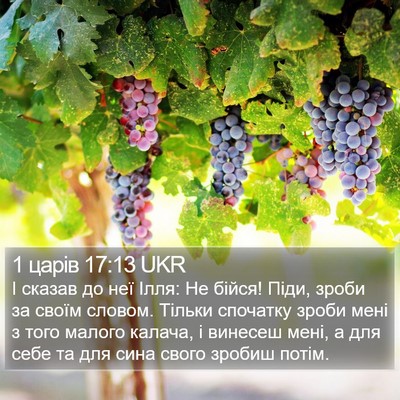 1 царів 17:13 UKR Bible Verse Image