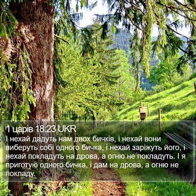 1 царів 18:23 UKR Bible Verse Image