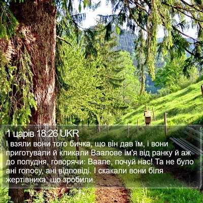 1 царів 18:26 UKR Bible Verse Image