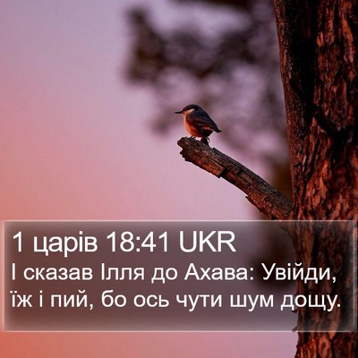 1 царів 18:41 UKR Bible Verse Image