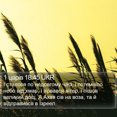 1 царів 18:45 UKR Bible Verse Image