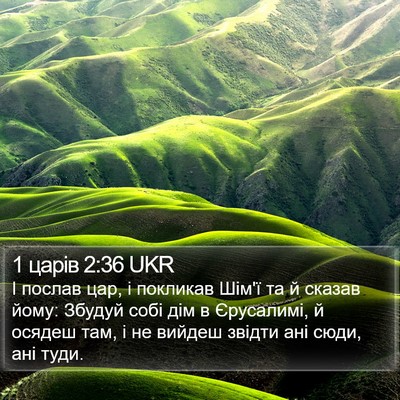 1 царів 2:36 UKR Bible Verse Image
