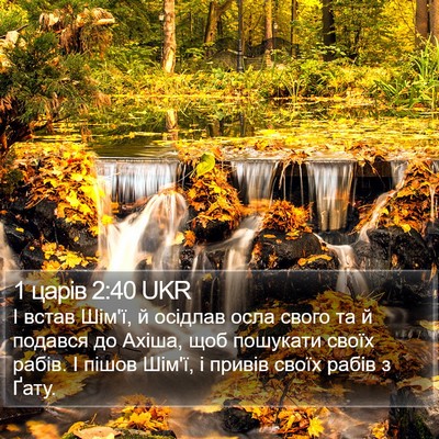 1 царів 2:40 UKR Bible Verse Image