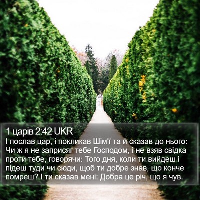 1 царів 2:42 UKR Bible Verse Image