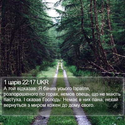 1 царів 22:17 UKR Bible Verse Image