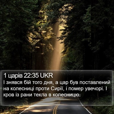 1 царів 22:35 UKR Bible Verse Image