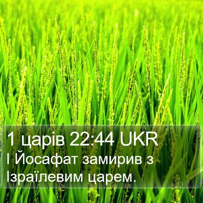 1 царів 22:44 UKR Bible Verse Image