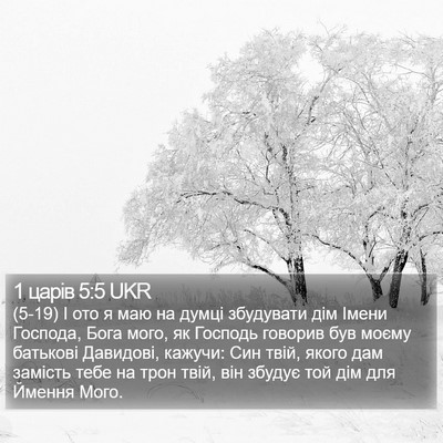 1 царів 5:5 UKR Bible Verse Image