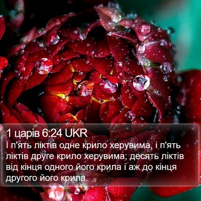 1 царів 6:24 UKR Bible Verse Image