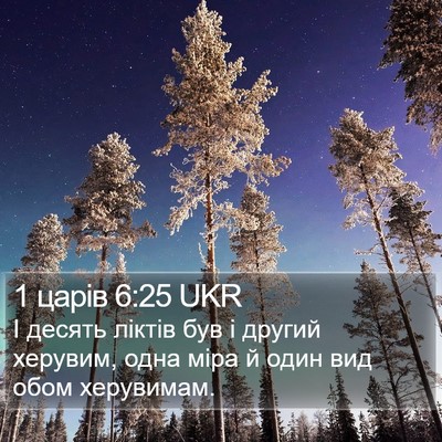 1 царів 6:25 UKR Bible Verse Image