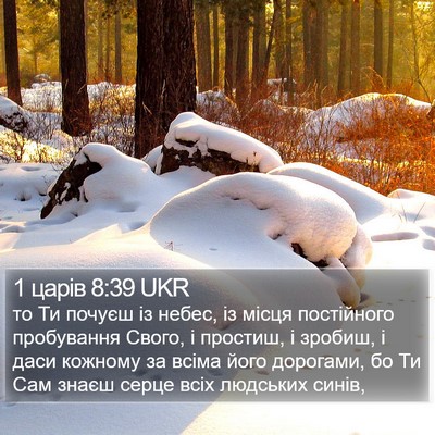 1 царів 8:39 UKR Bible Verse Image