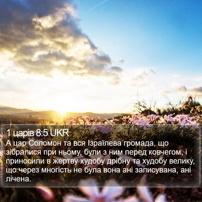 1 царів 8:5 UKR Bible Verse Image
