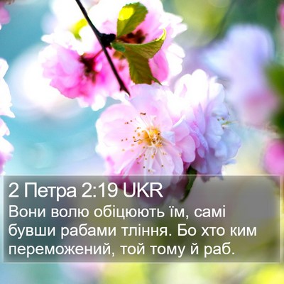 2 Петра 2:19 UKR Bible Verse Image