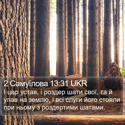 2 Самуїлова 13:31 UKR Bible Verse Image