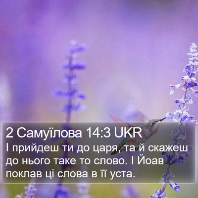 2 Самуїлова 14:3 UKR Bible Verse Image