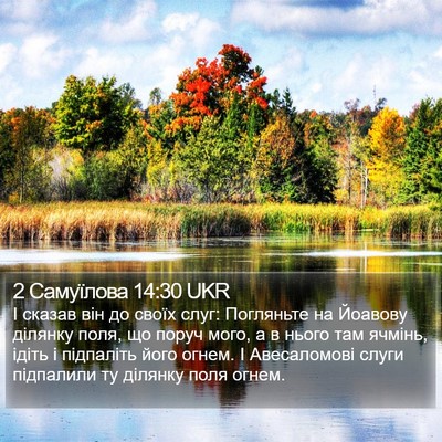 2 Самуїлова 14:30 UKR Bible Verse Image