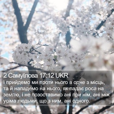 2 Самуїлова 17:12 UKR Bible Verse Image