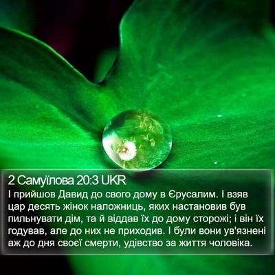 2 Самуїлова 20:3 UKR Bible Verse Image