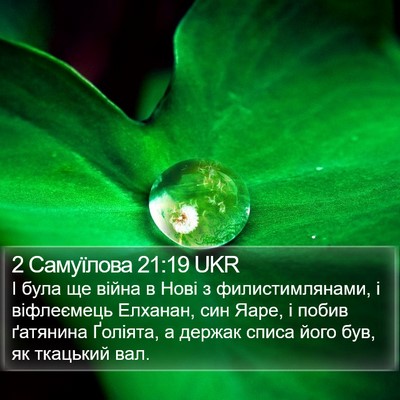 2 Самуїлова 21:19 UKR Bible Verse Image