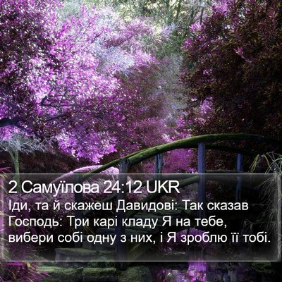 2 Самуїлова 24:12 UKR Bible Verse Image