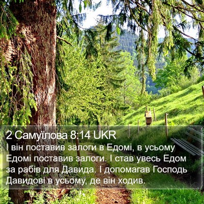 2 Самуїлова 8:14 UKR Bible Verse Image