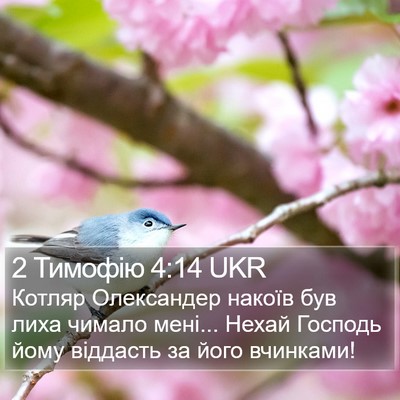 2 Тимофію 4:14 UKR Bible Verse Image