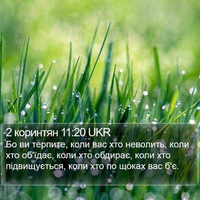 2 коринтян 11:20 UKR Bible Verse Image