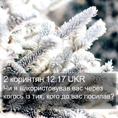 2 коринтян 12:17 UKR Bible Verse Image
