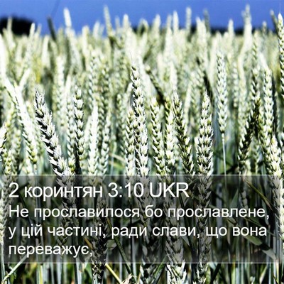 2 коринтян 3:10 UKR Bible Verse Image