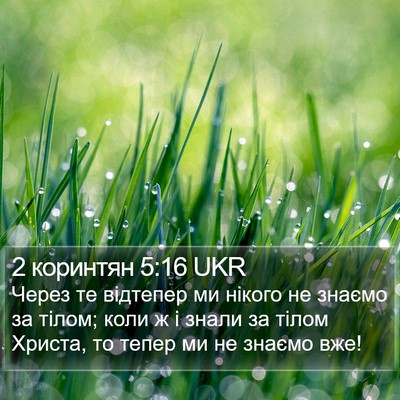 2 коринтян 5:16 UKR Bible Verse Image