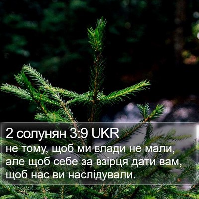 2 солунян 3:9 UKR Bible Verse Image