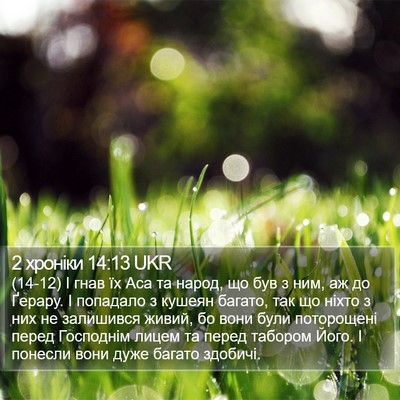 2 хроніки 14:13 UKR Bible Verse Image