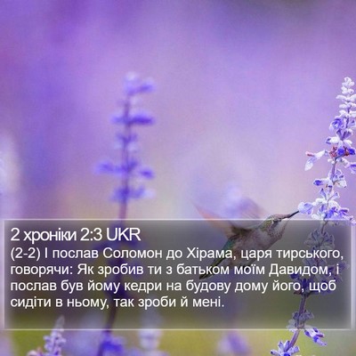 2 хроніки 2:3 UKR Bible Verse Image