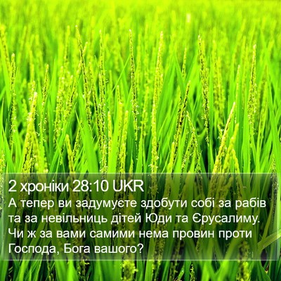 2 хроніки 28:10 UKR Bible Verse Image