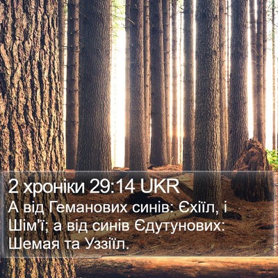 2 хроніки 29:14 UKR Bible Verse Image