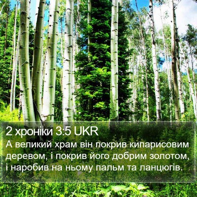 2 хроніки 3:5 UKR Bible Verse Image