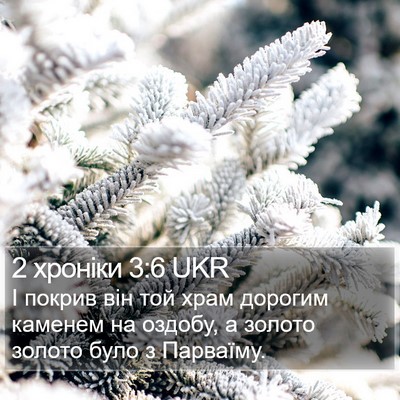 2 хроніки 3:6 UKR Bible Verse Image